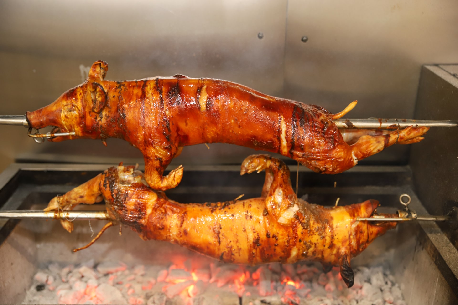 Cochon de lait portugais sur rotissoire